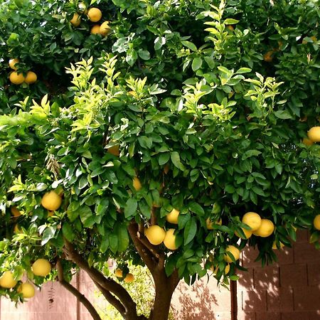 Lemon Tree 호텔 돈지세케트 외부 사진