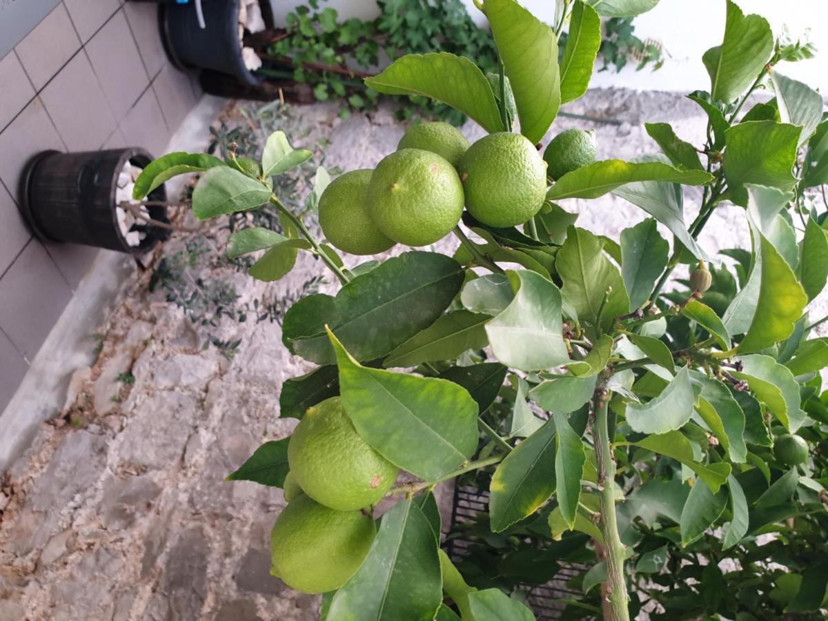 Lemon Tree 호텔 돈지세케트 외부 사진